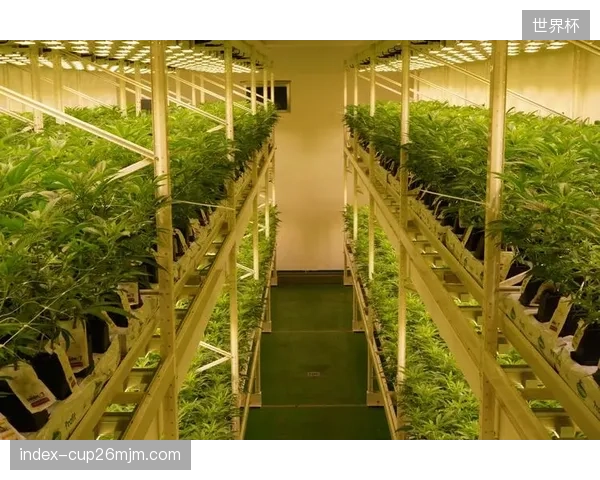 补光灯与通风组网延展植物生长期应对高频践踏